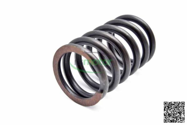 Valve spring MWM RS-12134406 - Image 2
