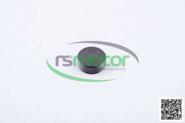 Presure plate MWM RS-12136464 - Image 2
