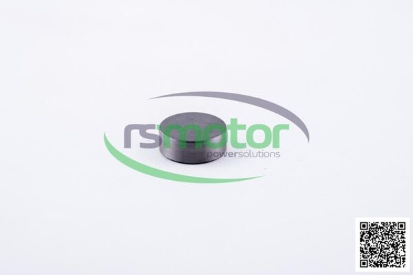 Presure plate MWM RS-12136464 - Image 3