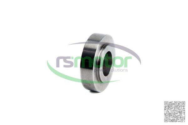 Plato de resorte MWM RS-12141697 - Imagen 3