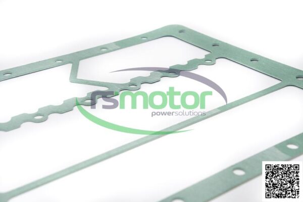 Gasket MWM RS-12141952 - Image 2