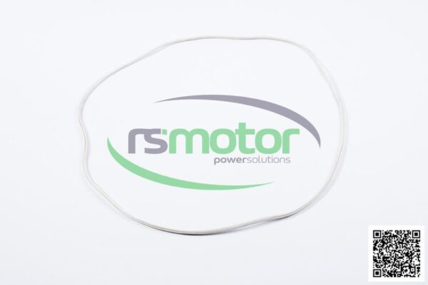 Seal Gasket MWM RS-12142721 - Image 2