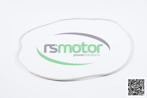 Seal Gasket MWM RS-12142721 - Image 3