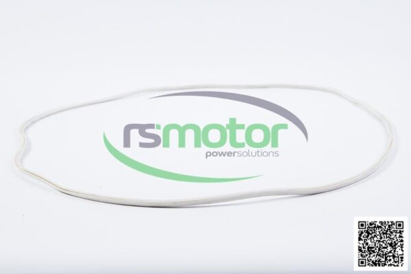 Seal Gasket MWM RS-12142721 - Image 4