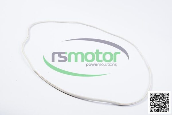 Seal Gasket MWM RS-12142721 - Image 7