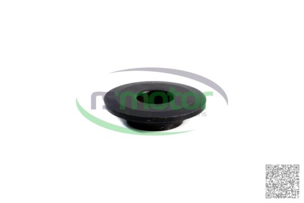 Plato de resorte MWM RS-12164645 - Imagen 4