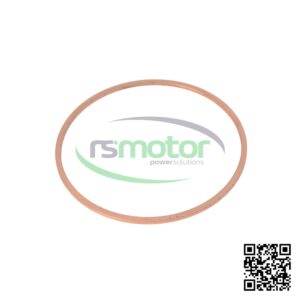 Anillo de Sellado MWM 12185842 sobre un fondo blanco y con el logo de "RS Motor" en el centro