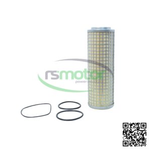 Piezas de Servicio MWM 12211698 sobre un fondo blanco y con el logo de "RS Motor" en el centro