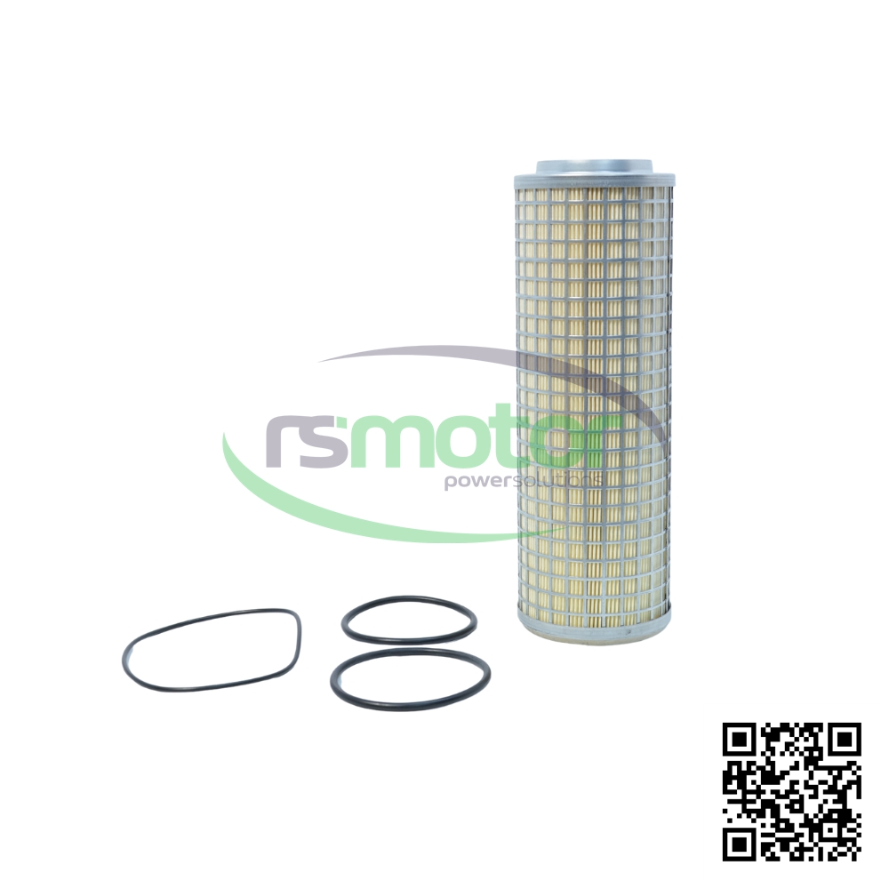 Piezas de Servicio MWM 12211698 sobre un fondo blanco y con el logo de "RS Motor" en el centro