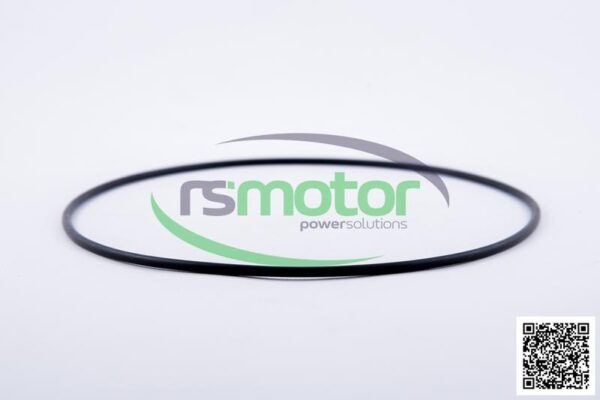 Junta tórica MWM RS-12211893 - Imagen 4