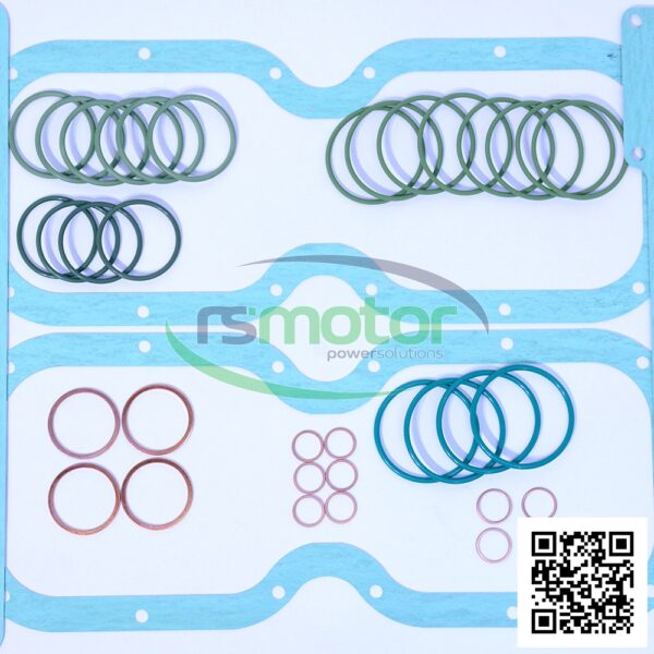 Juego de juntas ASS15 MWM RS-12211901