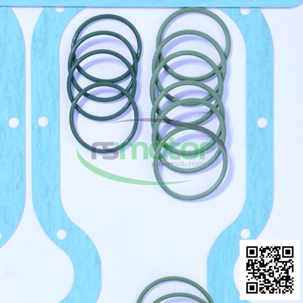 Juego de juntas ASS15 MWM RS-12211901 - Imagen 5