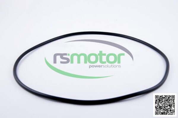 O-ring MWM RS-12217383 - Image 3