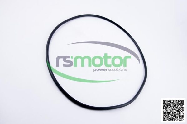 O-ring MWM RS-12217383 - Image 5