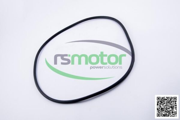 O-ring MWM RS-12217383 - Image 7