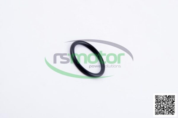 O-ring MWM RS-12217384 - Image 5