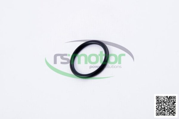 O-ring MWM RS-12217384 - Image 6