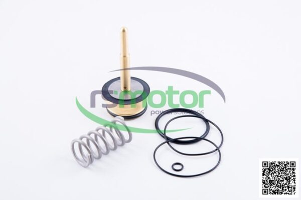 Kit de reparación MWM RS-12217440 - Imagen 2
