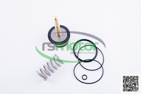Kit de reparación MWM RS-12217440 - Imagen 3