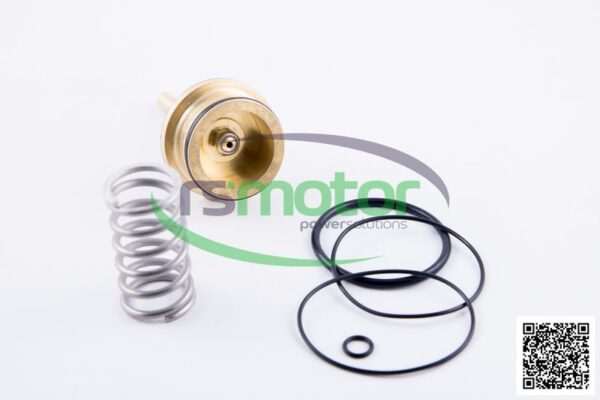Kit de reparación MWM RS-12217440 - Imagen 4