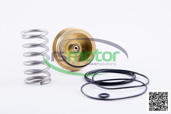 Kit de reparación MWM RS-12217440 - Imagen 5