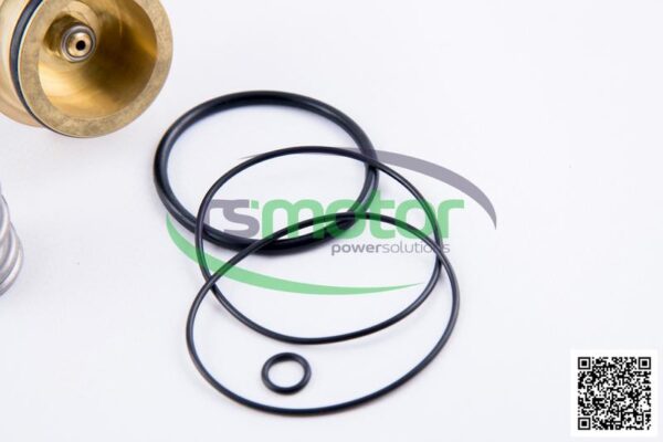 Kit de reparación MWM RS-12217440 - Imagen 6