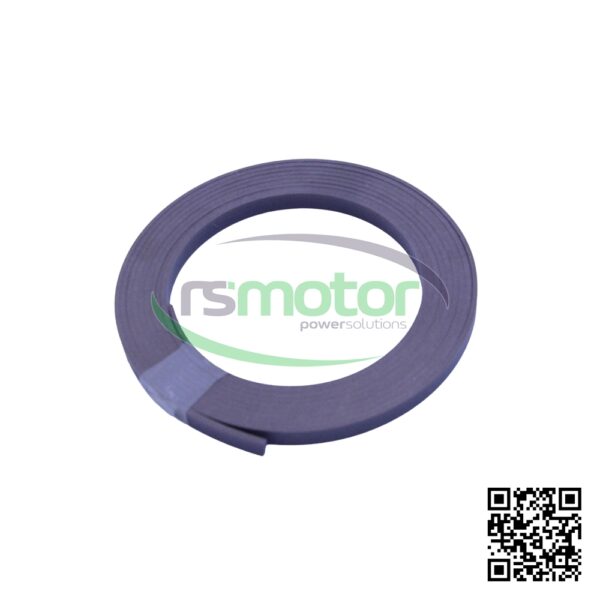 Driving band MWM RS-12217484 - Image 2
