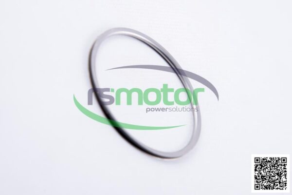 Sealing ring MWM RS-12270150 - Image 5