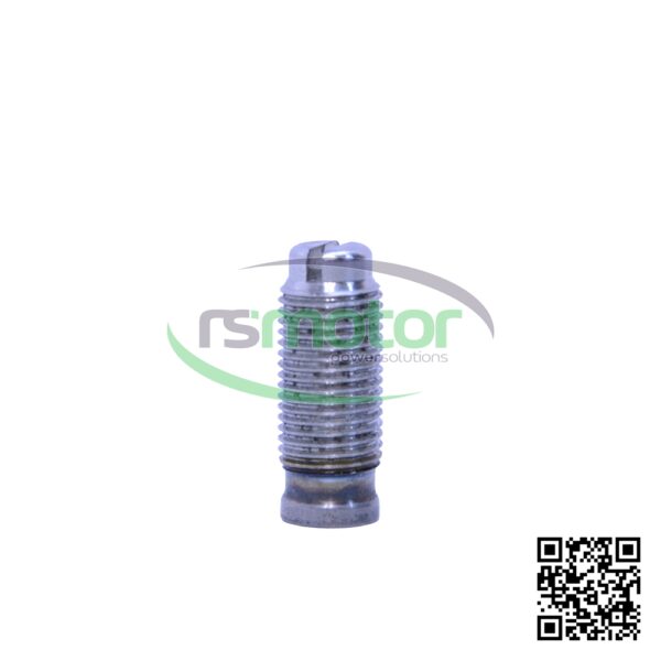 Tornillo de ajuste MWM RS-12277132 - Imagen 2