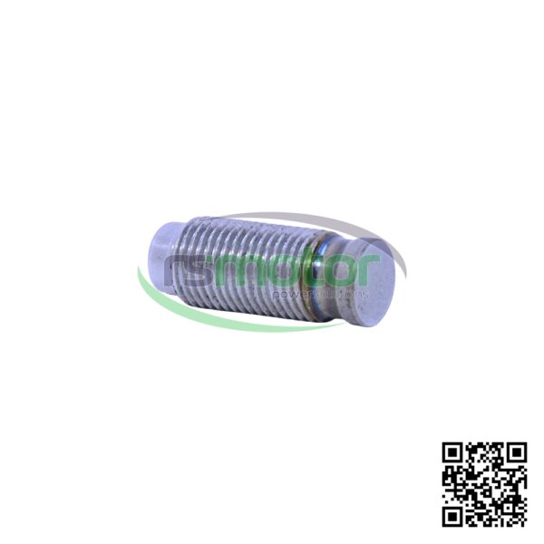 Tornillo de ajuste MWM RS-12277132 - Imagen 6