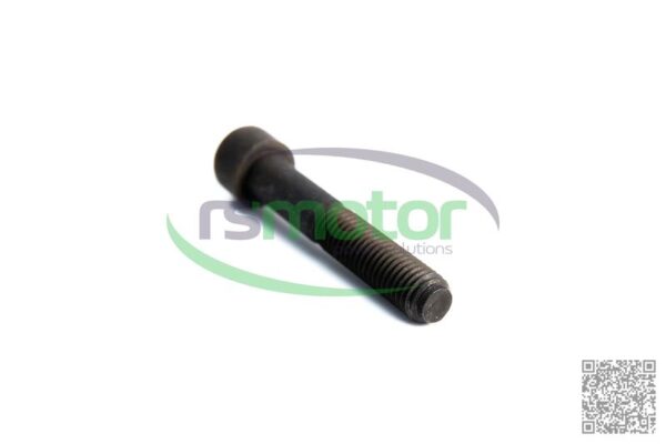 Screw MWM RS-12277744 - Image 2