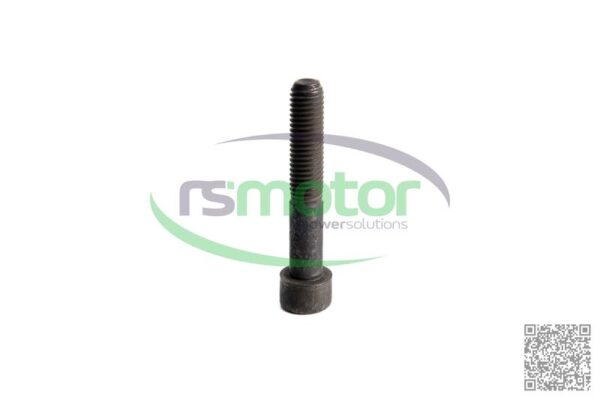 Screw MWM RS-12277744 - Image 3