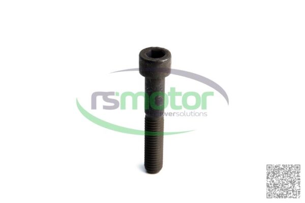 Screw MWM RS-12277744 - Image 4