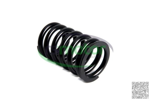 Valve Spring MWM RS-12280124 - Image 2