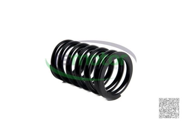 Valve Spring MWM RS-12280124 - Image 3