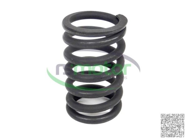 Valve Spring MWM RS-12280124 - Image 4