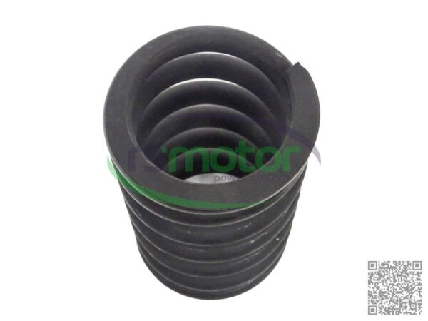 Valve Spring MWM RS-12280124 - Image 5