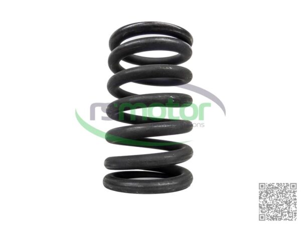 Valve Spring MWM RS-12280124 - Image 6