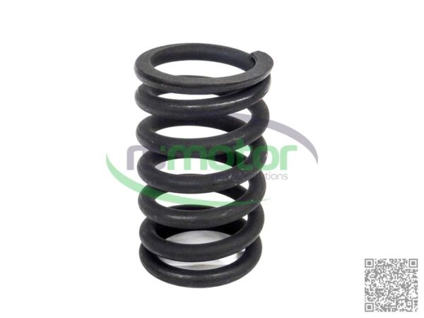 Valve Spring MWM RS-12280124 - Image 7