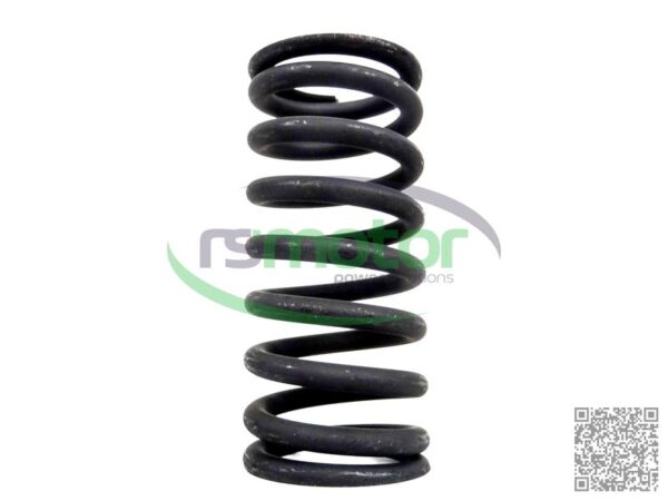 Valve Spring MWM RS-12280125 - Image 3