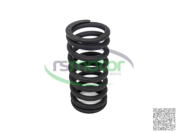 Valve Spring MWM RS-12280125 - Image 4
