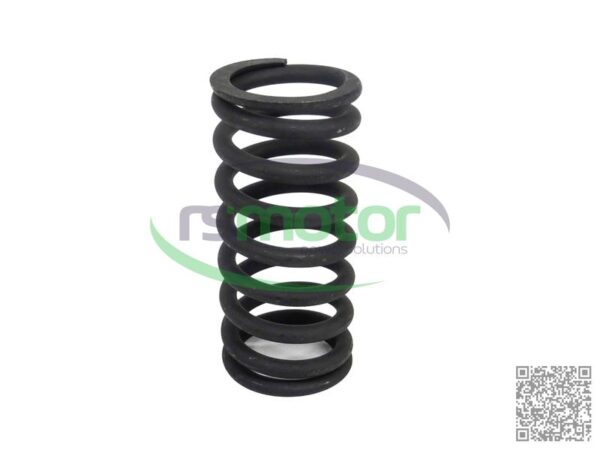 Valve Spring MWM RS-12280125 - Image 5
