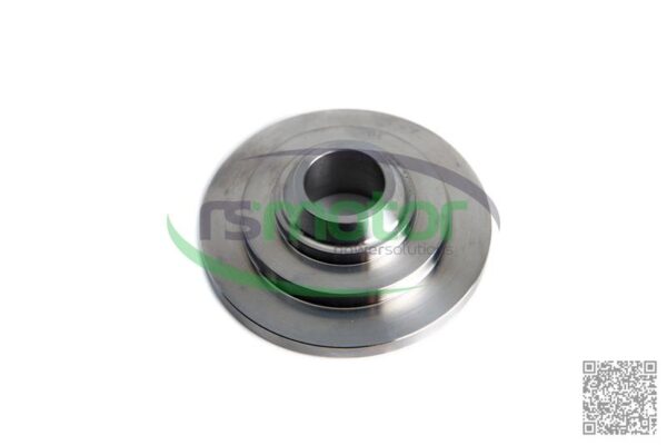 Spring Cap MWM RS-12280189 - Image 3