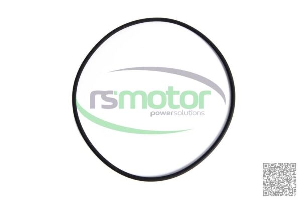 Round Sealing Ring MWM RS-12280199 - Image 2