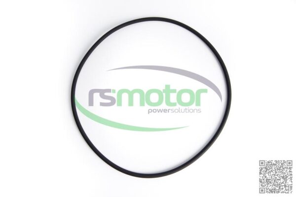 Round Sealing Ring MWM RS-12280199 - Image 4