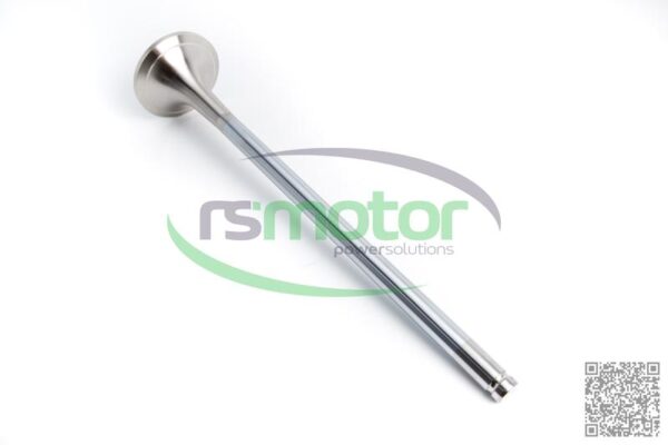 Válvula de escape MWM RS-12281423 - Imagen 2