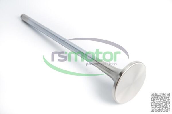 Válvula de escape MWM RS-12281423 - Imagen 3