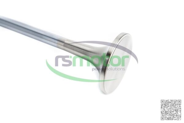 Válvula de escape MWM RS-12281423 - Imagen 5