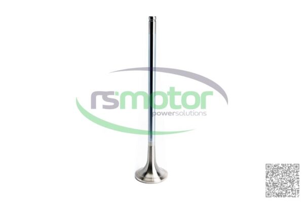 Válvula de escape MWM RS-12281423 - Imagen 6