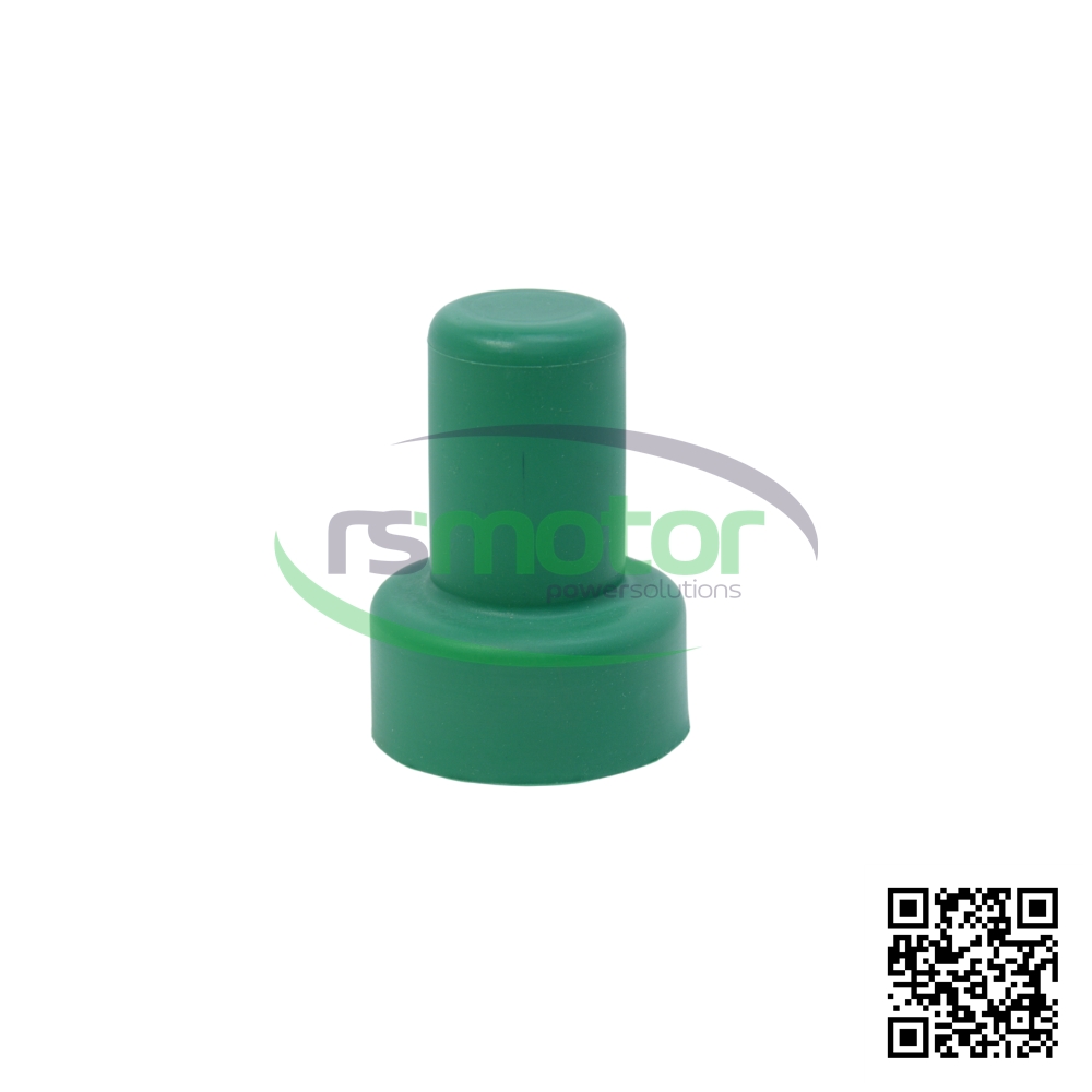 Tapa Protectora MWM 12281748 sobre un fondo blanco y con el logo de "RS Motor" en el centro